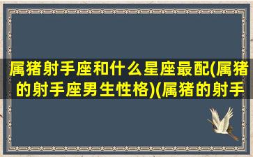 属猪射手座和什么星座最配(属猪的射手座男生性格)(属猪的射手座 十二生肖)